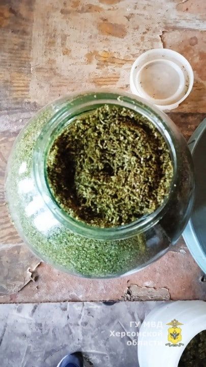 �� ����� ���������� �� ����� �������� ����������� ����� ������� ������ ���������