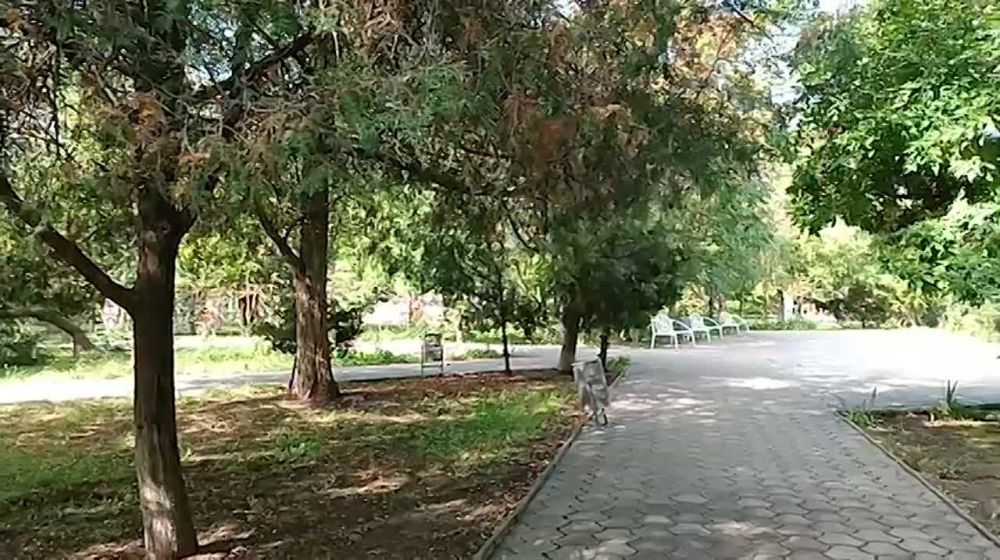 ����� �������. ���������������� ����� 2