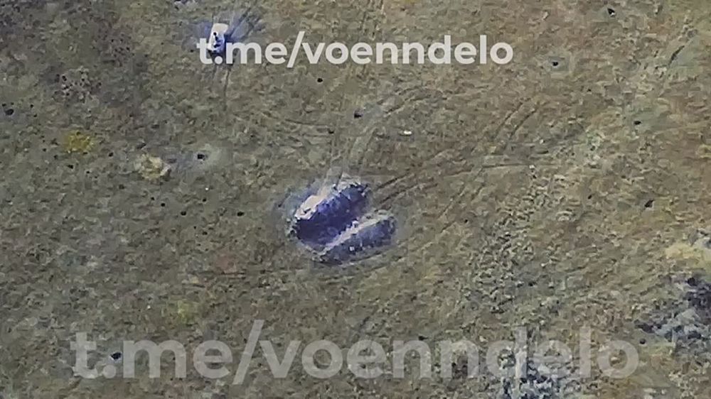 ��������� ������������� ������ ������������ ������������� :