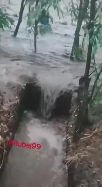 18+ ���������� ������� � ����������� ��������� �� ���������� �����������