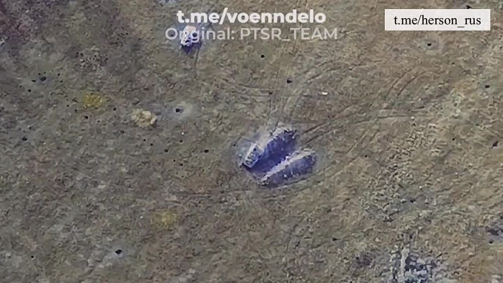 ���������������� � �������� �������