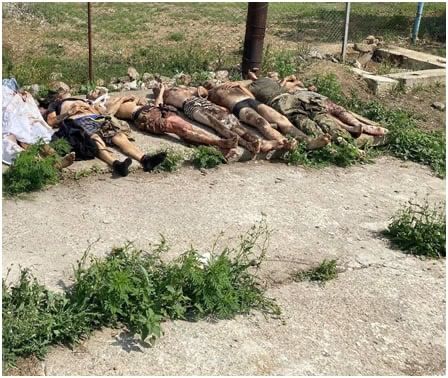 ���� �������: ������� ����������� ���������� ������������� 35-� ����� ���� �� ����������� ������� ��� �������� ���������� ������