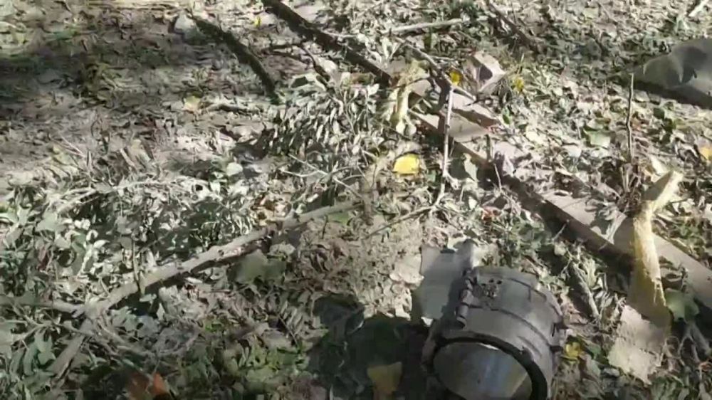 ��� �������� ������ ��� ���������� ������� ������� ���� �������