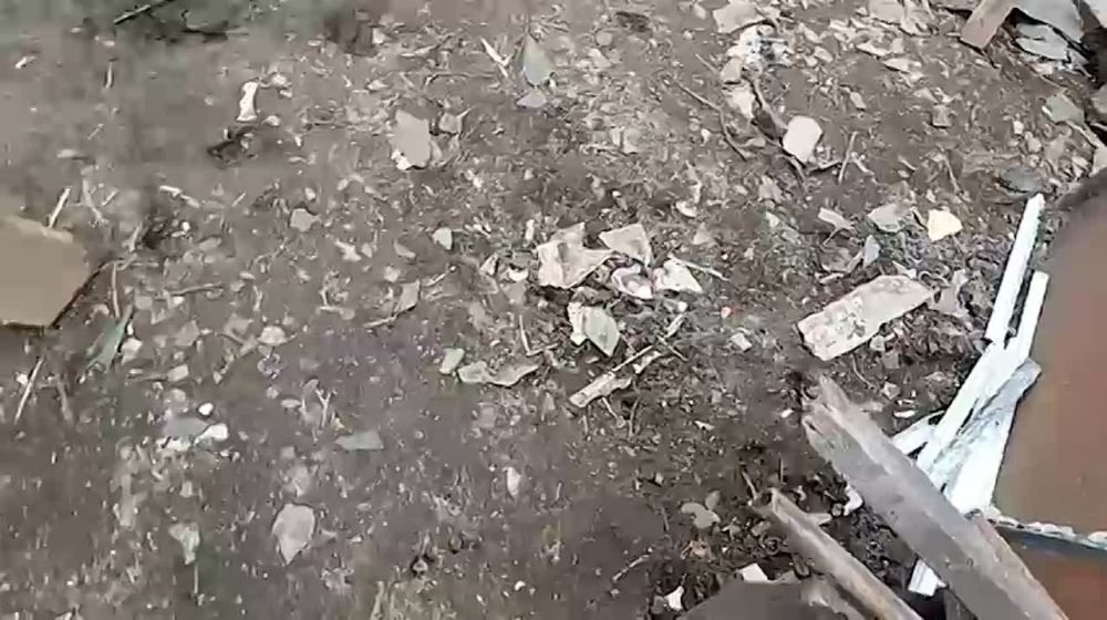 ������ ���� � ���� �������� ���