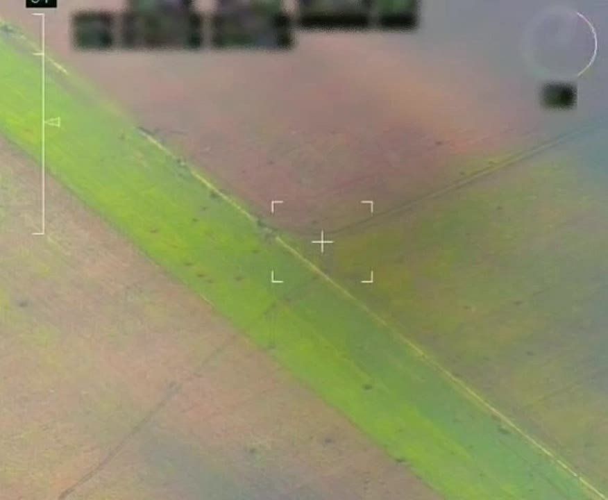 ��������� ���������� ������������ � ������ ����������� ������ �������� ���������� �������