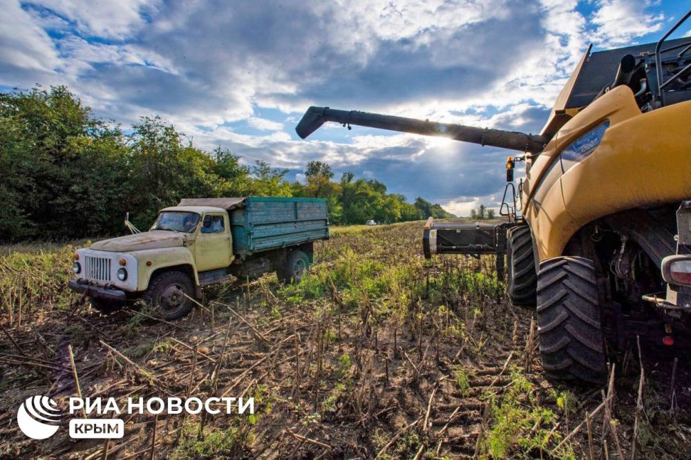 ������ � �������� � �� ������������� �����������