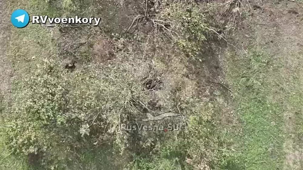 ����� �� ���������� ����������: 247-� ������� ���� ��� �������� �� ���, ������ ���� ��������� ������ ��������