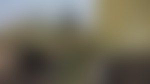 ��� ��� ��� ��� ����������� � ������������� ��������!