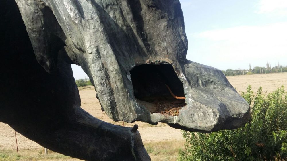 ����� ����������� �������� �����������: