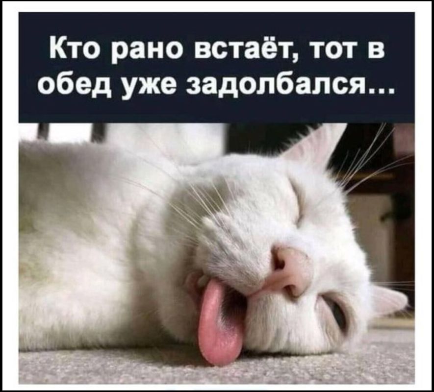 �� �����, �������� ����, ������� ��������, ����������� �� ��� ������