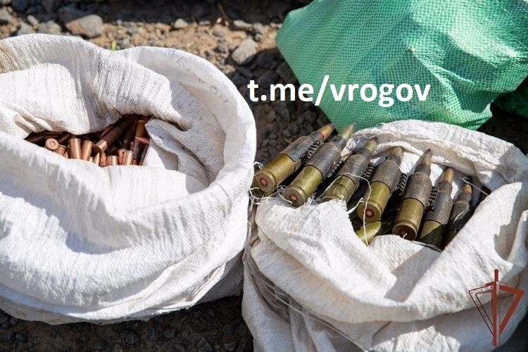 �������� �����: ��������� ����� 50 ���������� ���