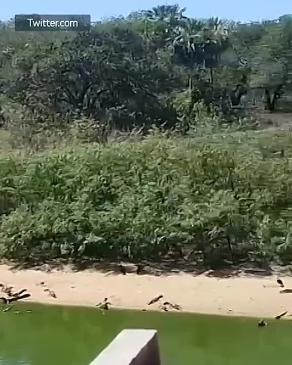 �� ������������� �� ��������� ������ ������: ��������� ����������-������ � �������� ������� ������ � ����� ������ ������ � ���������