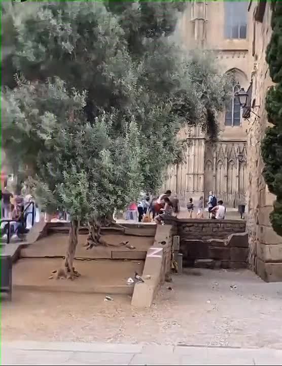 ������� ������� ����� Z �� ������ ��� ������ ������ ����� ��� ��������