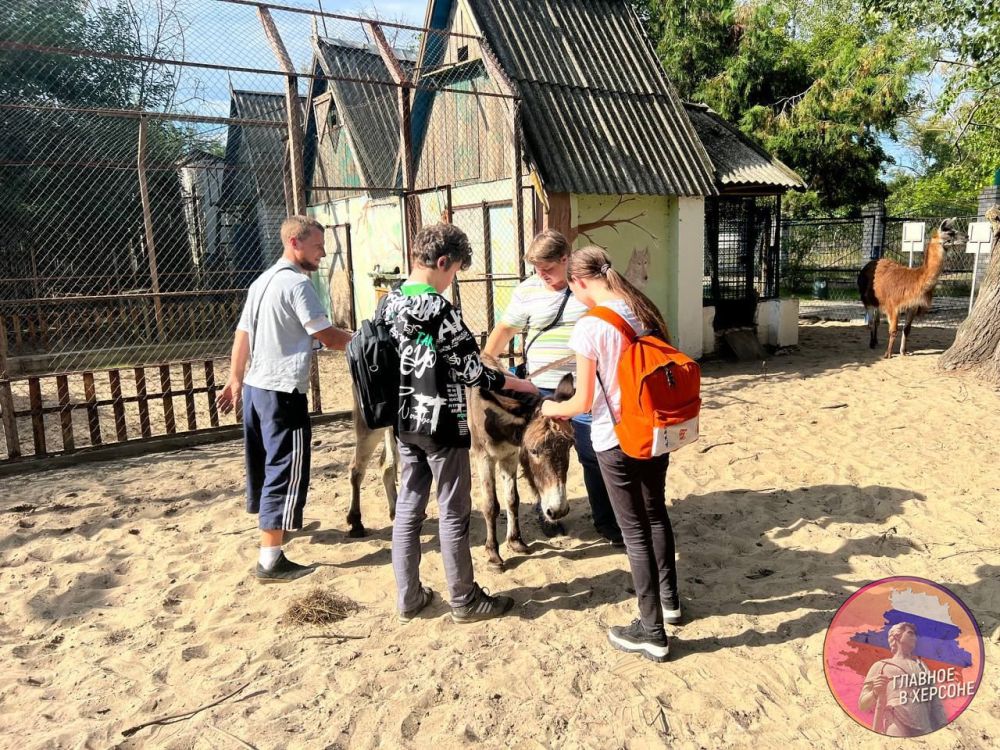 ������� ����������� ��� ������� ������ �������� �� ����������