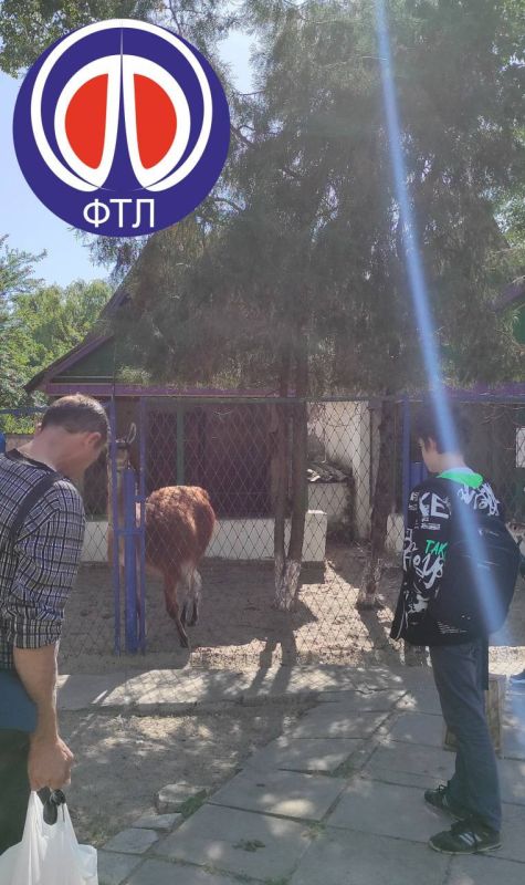 �����, ������ �� ������-������������ ����� ��������� �������� ����������� ��������