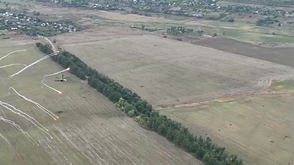 ���� ������� � ����� � ������