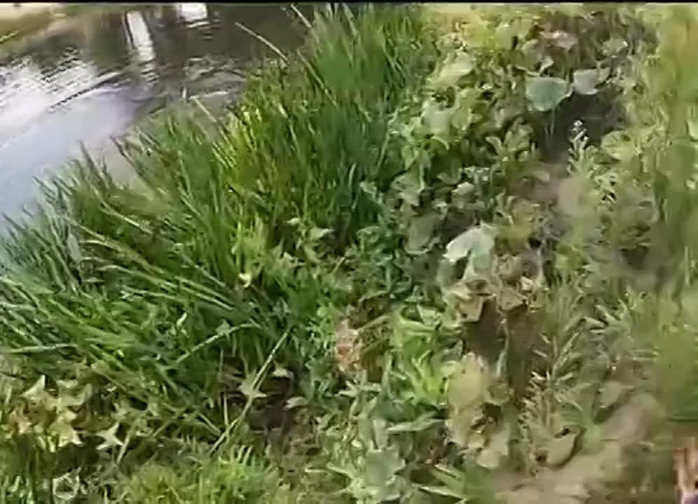 ��������� ������������ ����� ������� ����� ��������������� ����� � �����