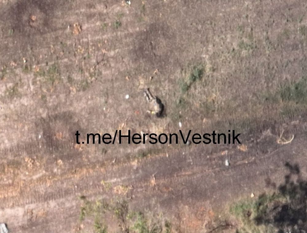 ����������� ����������� ��� �� ���������� �����������