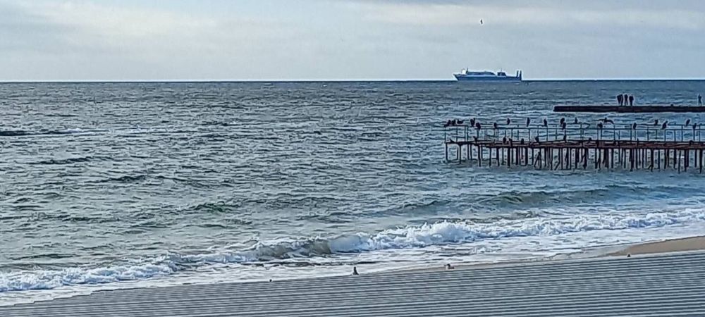 � ������ ������ �����, ����������������, � ��������� �����������