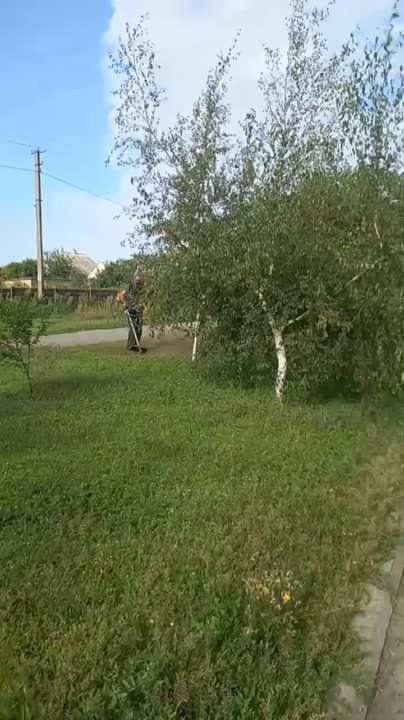 � ����������� ��������� ������ �� ������ ����� � ������ ��������������