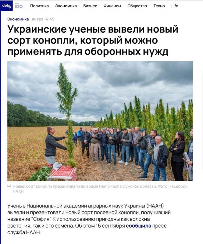 ������ ���������� ����������������, ������