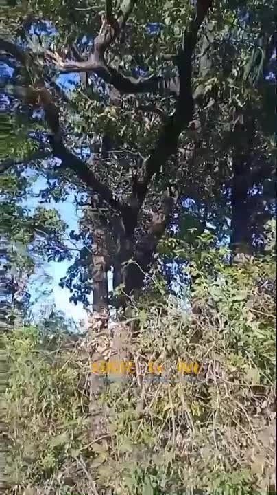 ���������� ����� ���������� �� �������� ��� � ���������� �������