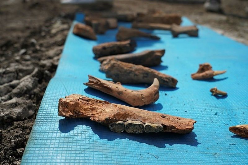 � ������� �����-����������� �������� ����������� ����������� 130 ���. �� ��������� � ����� ������������ ����������� � ���������� V ����� �� ����� ���