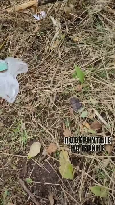 ��� �� ���������-������������ ����������� ���������� ���������������, ���� �������� ����� � ����, ������ ��� �������, �� ��������� ���������, ������� �������� �������