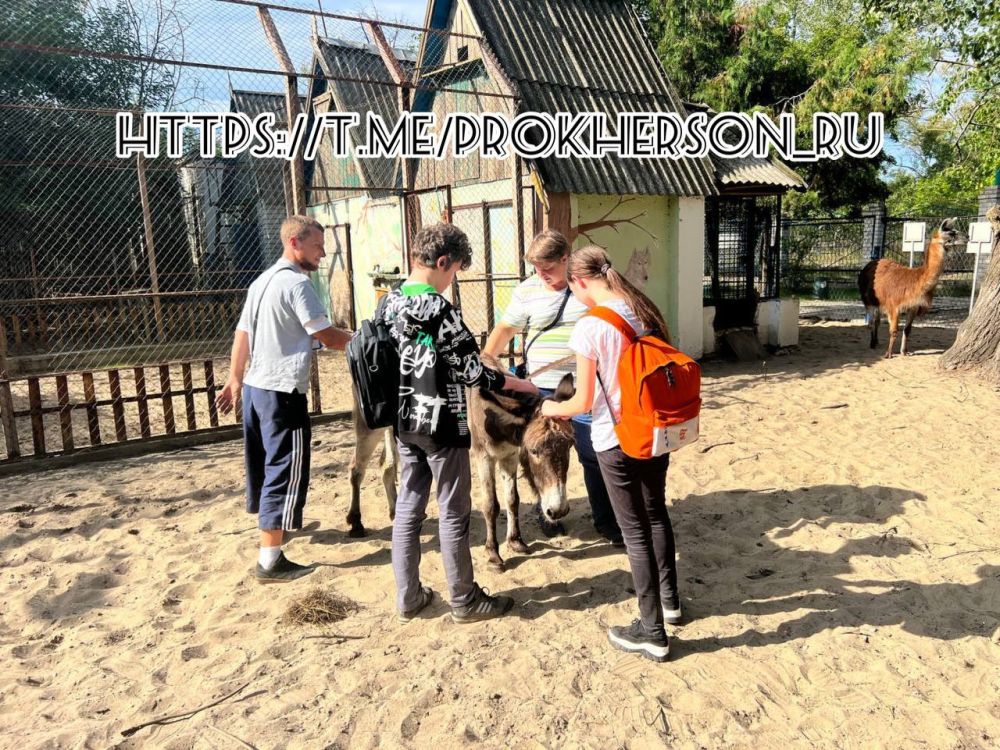 ���������� �������� ���������� ������� ��������� � ��������� ������-������������ �����(���) ��������� �������� ����������� ��������