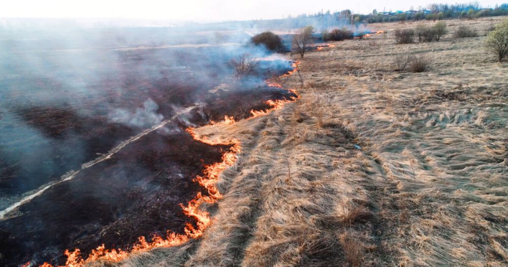 �� �������� � ���������� ������� ������������� 11 ������� ������