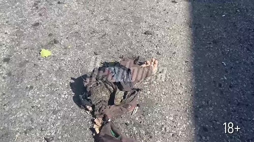 ���������� ����� �� ������ �������, ��� �� �������� ��� ������� 13 ������� � �����, ���������� ����������, ����������� ����