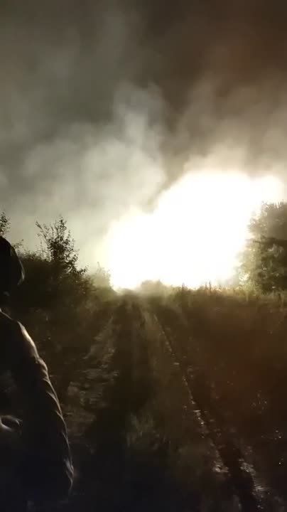 ���� ���� �� ������ �������