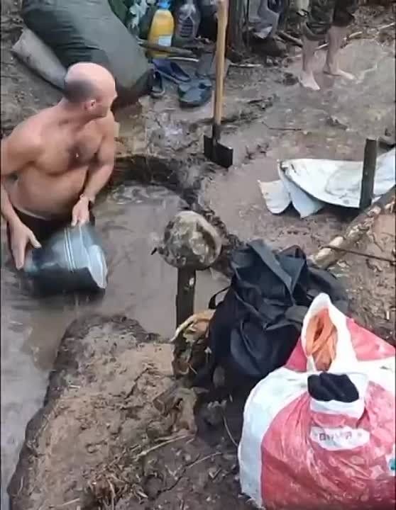 ����� �����. ������� ��� � ���� �������