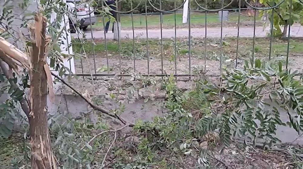 ������������ ����� �� ����� �������