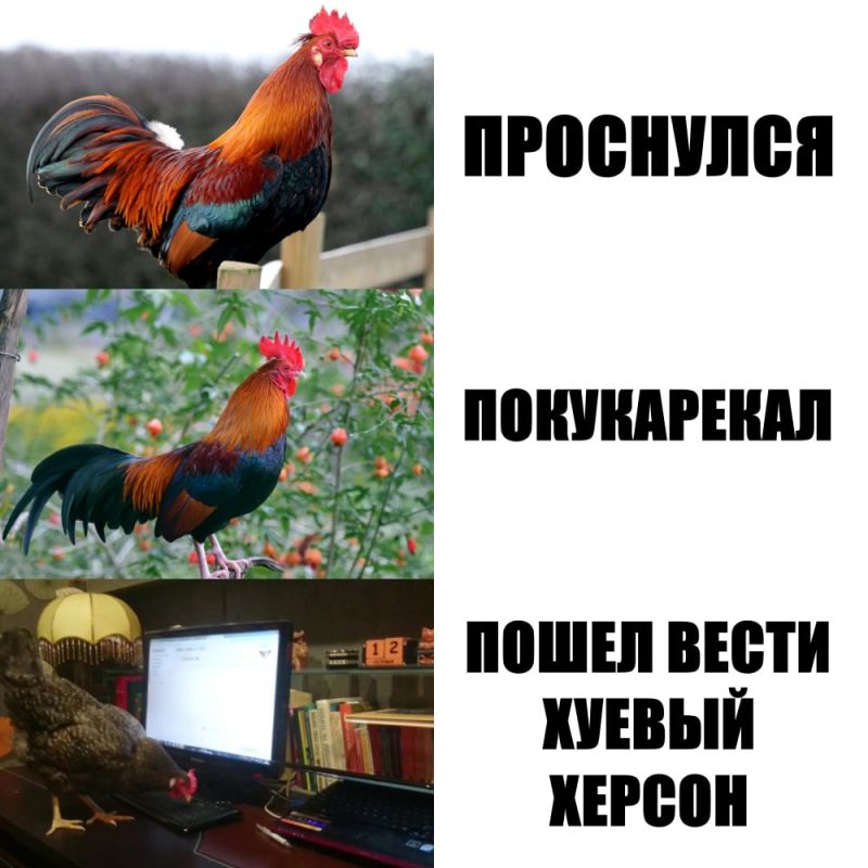 ���� �������� ���������� ��� ������ ������� �������