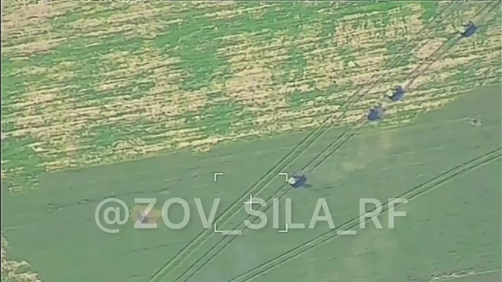 ������� ��� �� ���������� ����������� �.� ��������