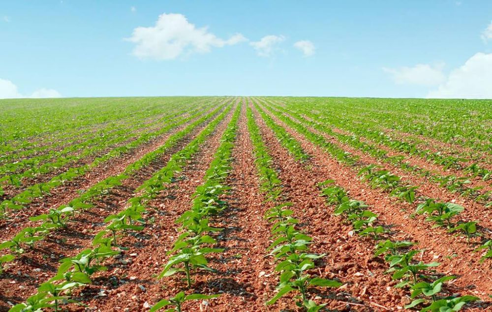 ����������� ������������ ���������� ������� ����� �������� �������� �� ���������� ���������