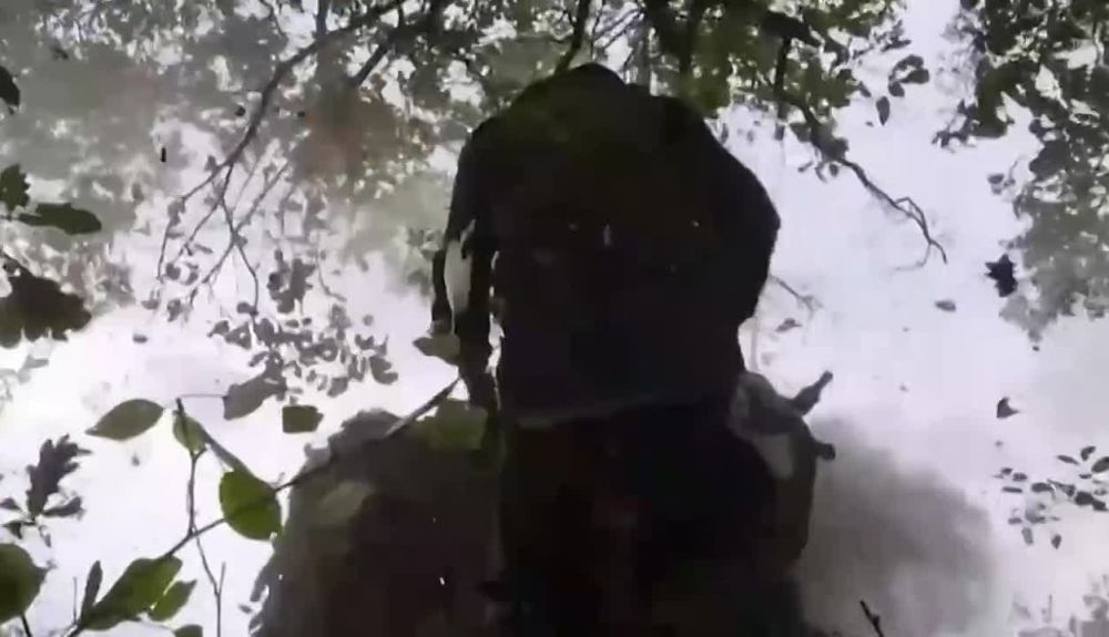 ���������� ������������ ������� �����������