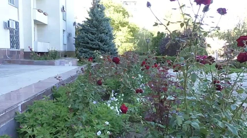 ������������ ��������������� ���������� ������� ��� ���������� ��������� ���������� ��������� �������� 3 ����������-�������������