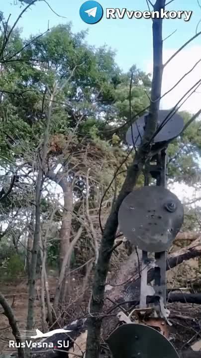 ������������ ������ ������ ���������� ��������������� Husky TSV �� ����������