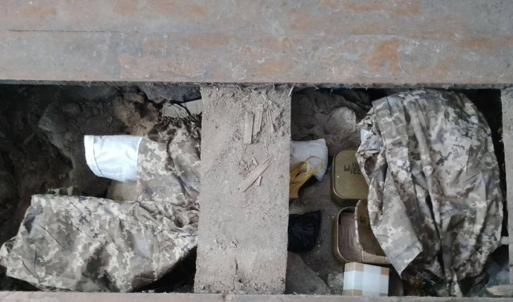 ����� �������� ������������ ���������� � ���������� �������