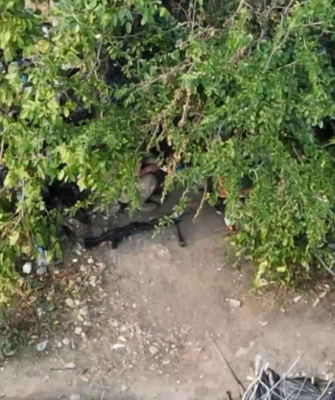 ������������ ������� �-240� � �������������� ��� � ����� ������