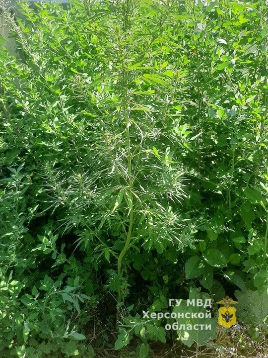 �� ���������� ������� � ���� ��������� ���������� ������� ������� ������� �������