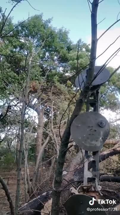 ���������� ������� ���������� ����������� Husky ��� � ���������� �������