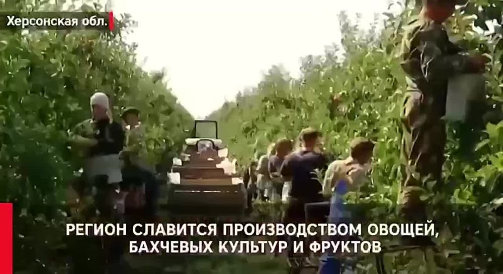 ��� �������� ������ � ��� ������ ������� ����� ������������