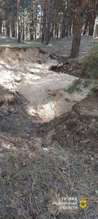 � ����������� ���� ��������� ������ � ����� ���� ����������� ������������