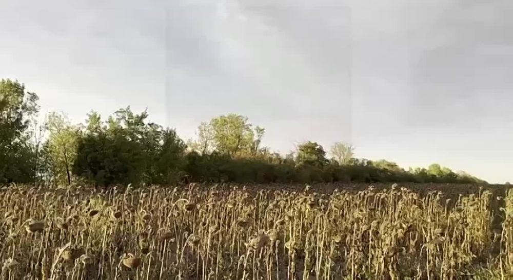 ������� ����. @zvezdalive @mk5_45