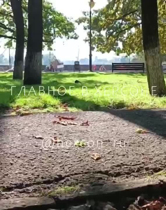 ��� ���������� �������� ����� � ����� � ������� �� ���� HIMARS � ������� �������� "������� � �������"