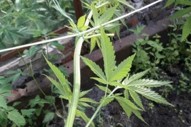 ���������� ������� ���������� ������� ������� ����� ���� � ���������� ������