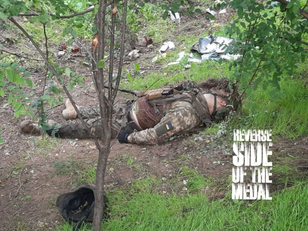 ��� �������� ������ �� �������.